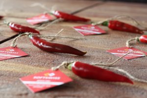 chilli-bath-post-release